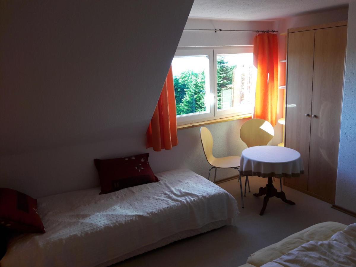 Fernblick Holiday home *